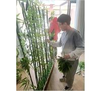 Paravent mural en bambou artificiel pour extérieur, jardin, clôture, cloison d'intimité, grand bambou artificiel avec feuilles et base rectangulaire, parfait pour la décoration et la séparation de