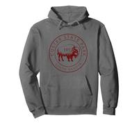 Parc d'État de Custer, Dakota du Sud, Bison Vintage Pride Sweat à Capuche