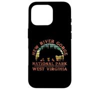 Parc National de New River Gorge Coque pour iPhone 16 Pro