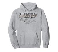Parc national de Petrified Forest : voyagez en Arizona et explorez la Terre Sweat à Capuche