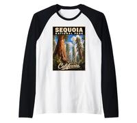 Parc National de Sequoia, Californie Manche Raglan