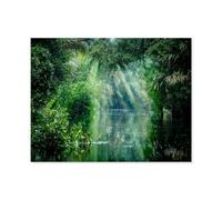 Parc National de Tortuguero, Costa Rica，for Children 1000 Pieces Bois Puzzle Jigsaws, DIY Casual Puzzles Toys, for Adults and Teenagers Unique Gifts Toys（75x50cm）-Q82