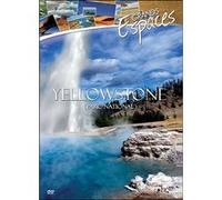 Parc national de Yellowstone G
