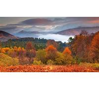 Parc National du Loch Lomond et des Trossachs, Écosse, Puzzle 1000 pièces pour Adultes et Enfants 38 x 52 cm