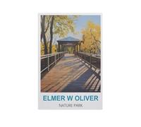 Parc Naturel Elmer W. Oliver，Puzzle 1000 Pièces en Bois Divertissement Puzzles Jouets Très Difficile Adulte Et Adolescent Casual Jigsaw Puzzle Puzzle（75x50cm）-GG8