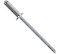 PARCO Lot de 250 rivets aveugles en aluminium, rivets métalliques pour métal, plastique et cuir DIN 7337 - Aluminium/acier - 4,8 x 10 mm