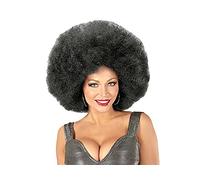 Pare-brise noir 04673