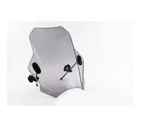 Pare-brise universel Puig pour BMW S1000 R 17-20 FUME CLAIRE
