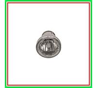 Prasco Antibrouillard CI3204413 - Peugeot Expert (2003-06), Citroen Xsara (2000-04), C3 (2005-09)