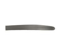 Pare-Chocs Baguette Moulure avant Gauche Compatible : Renault Megane I