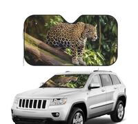 Pare-soleil pliable pour pare-brise de voiture - Bloque le chat Jaguar sur un tronc d'arbre - Cascade - Garde votre véhicule au frais
