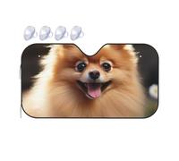 Pare-soleil universel pour pare-brise de voiture - Motif chien de Poméranie - Bloque la chaleur et les rayons UV - Pliable - Protection intérieure de voiture
