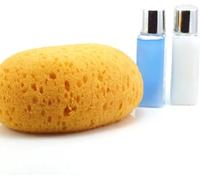 PARENCE.- Éponge de Bain Naturelle Végétale - Douche, Corps & Visage - Dimensions : 13x11x7 cm