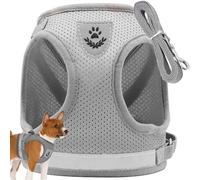 PARENCE.- Harnais pour Chien et Chat Taille S avec Laisse - Gilet Réglable et Respirant en Maille