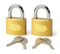 PARENCE - Lot de 2 Petits Cadenas avec 2 Clés chacun - Idéal pour Casiers de Collège, Vestiaires, Tiroirs, Boîtes de Rangement - Corps Métal - Usage Quotidien