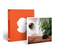 Parenthèse De Bien-Être De 2h À Vannes - Smartbox - Coffret Cadeau Bien-Être