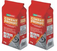 Parexlanko - Ciment Prompt - Gris - Confection de mortier à prise rapide - Tous supports de maçonnerie - Adapté en milieux humide et marin - 5kg (Lot de 2)