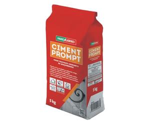 Parexlanko - Ciment Prompt - Gris - Confection de mortier à prise rapide - Tous supports de maçonnerie - Adapté en milieux humide et marin - 5kg