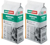 Parexlanko - Mortier Rapide - Gris - Tous types de scellements et petites réparations - Volets, portes, fenêtres - Prise rapide - Prêt à gâcher - 2,5kg (Lot de 2)