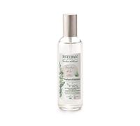 Parfum d'ambiance 100 ml Fraîcheur de lin - Esteban Paris