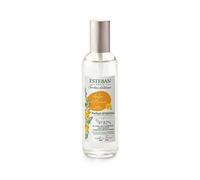 ESTEBAN Vaporizzatore 100ml - Ambre et Baumes