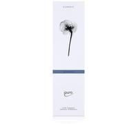 Parfum d'ambiance Ipuro classic balance 75ml - Notes aériennes et maritimes (1 paquet)