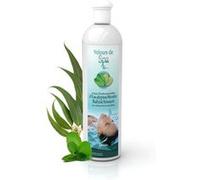 Parfum de Spa à base d'huiles essentielles d'Eucalyptus et Menthe 500 ml G