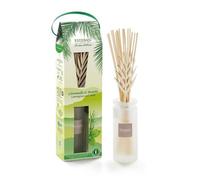 Parfum d'intérieur - Bouquet initial Citronnelle et Menthe 100 ml - Esteban