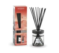 ESTEBAN PARIS PARFUMS-Bouquet parfumé ellipse avec sa recharge senteur terre d'ocre karité Esteban - 200 ml