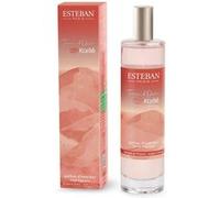 Estéban Vaporisateur parfum d'intérieur Terre d'Ocre Karité 75 ml