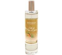Esteban - Thé et Pain d'épices Parfum d'intérieur Vaporisateur de sac 75 ml unisex