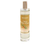 Esteban - Thé et Pain d'épices Parfum d'intérieur Vaporisateur de sac 75 ml unisex
