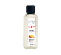 Parfum Pour Lampe Catalytique Orange De Cannelle 250 ML Lampe Berger Décoration