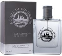 Parfum Salvador Pour Homme Eau De Toilette Pour Homme 100 Ml