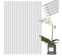 Pari de en Pot | Bâtons d'orchidées Transparents Supports de Support de vignes en Acrylique | Boulons d'arrosage pour Fleurs | Outils de Jardinage pour en Pot