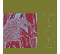 Pariah Here from Where We Are (CD) Album