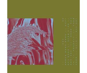 Pariah Here from Where We Are (CD) Album