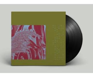Pariah Here from Where We Are (Vinyl) 12" Album