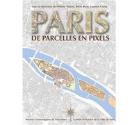 Paris de parcelles en pixels Hélène Noizet (Auteur), Boris Bove (Auteur), Laurent Jacques Costa (Auteur)