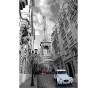 Paris - Poster - Robe rouge , Canard bleu 2CV + 1 sur-poster de taille 61x91,5cm