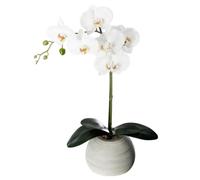 Paris Prix Atmosphera Créateur d'intérieur - Fleur Artificielle en Pot Orchidée 53cm Gris