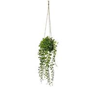 Paris Prix Atmosphera Créateur d'intérieur - Plante Artificielle à Suspendre Living 62cm Vert