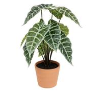 Paris Prix Atmosphera Créateur d'intérieur - Plante Artificielle Alocasia Soleya 43cm Vert