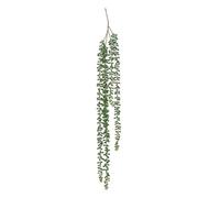 Paris Prix Atmosphera Créateur d'intérieur - Plante Tombante Déco Séneçon 37cm Vert
