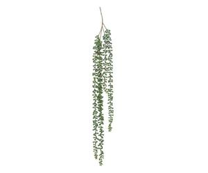 Paris Prix Atmosphera Créateur d'intérieur - Plante Tombante Déco Séneçon 37cm Vert