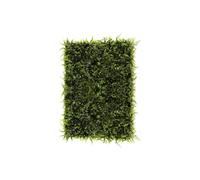 Paris Prix Mur Végétal Artificiel 40x60cm Vert