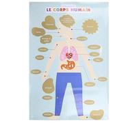 Paris Prix Poster à Gratter pour Enfant Corps Humain 60cm Bleu