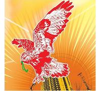 Paris Texas - You Like an Arsonist