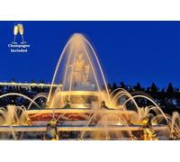 Paris : Visite privée du château de Versailles et des jardins avec Champagne