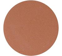 ParisAx Ombres à Paupières Mat Terre de Sienne 4 g
